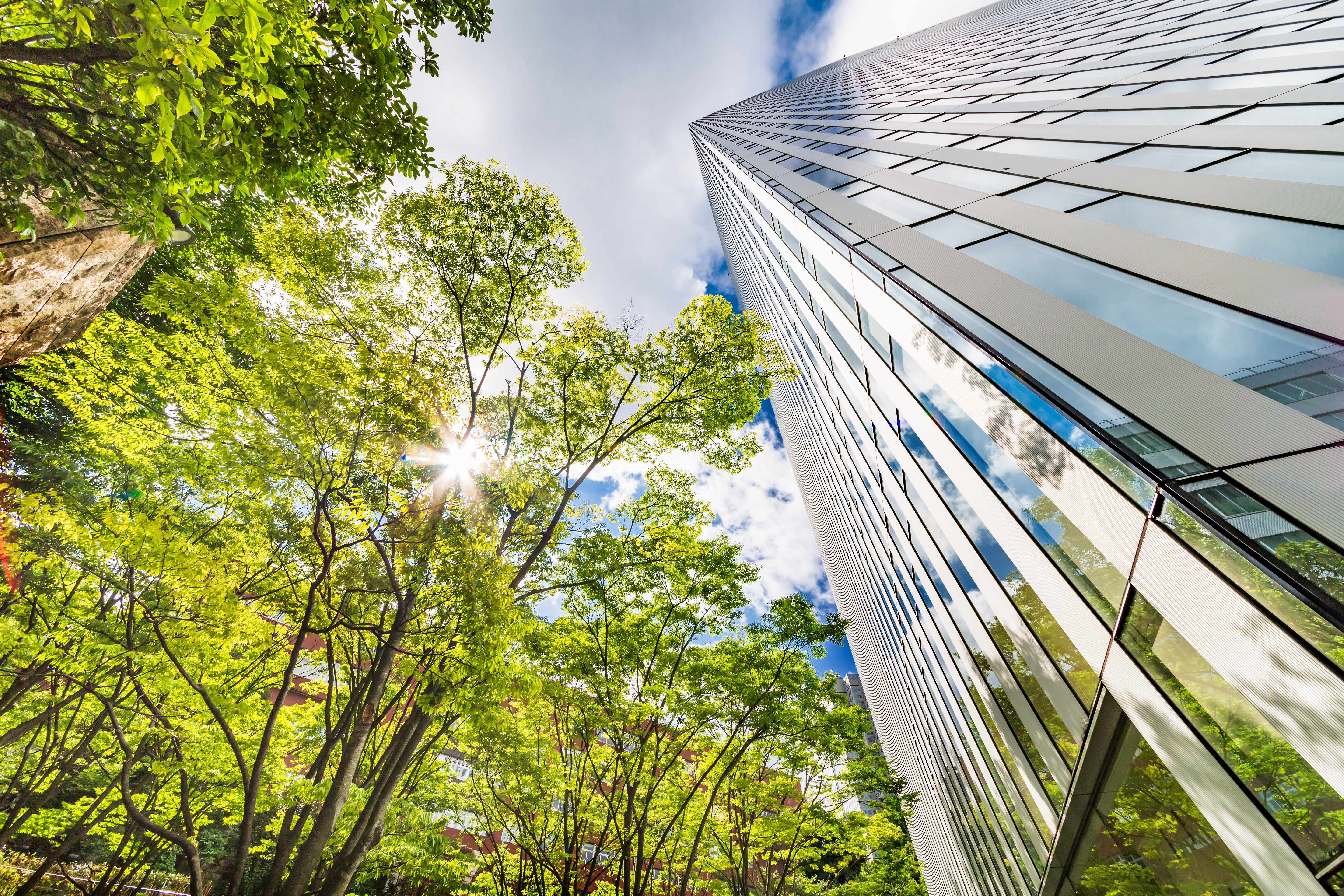 Introducing Techmenity: Building Smart for the Future